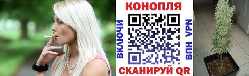 где можно купить наркотик  Приволжский  mega вход  Канабис индика 